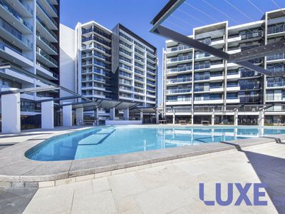 291 / 7 Irving Street, Phillip