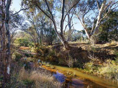 Off Owens Road, Elphinstone