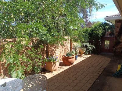 10 Wills Street, Dubbo