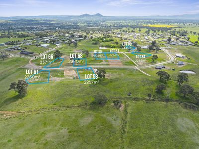 31 Greenslopes Avenue, Mansfield