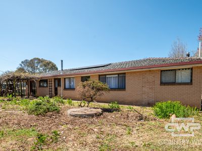 111 Llangothlin Road, Guyra