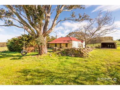 224 Burns Road, Mount Pleasant