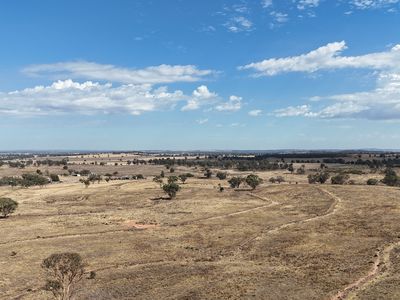 117 Hillside Lane, Parkes