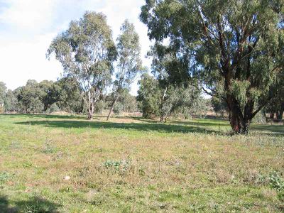 Heathcote
