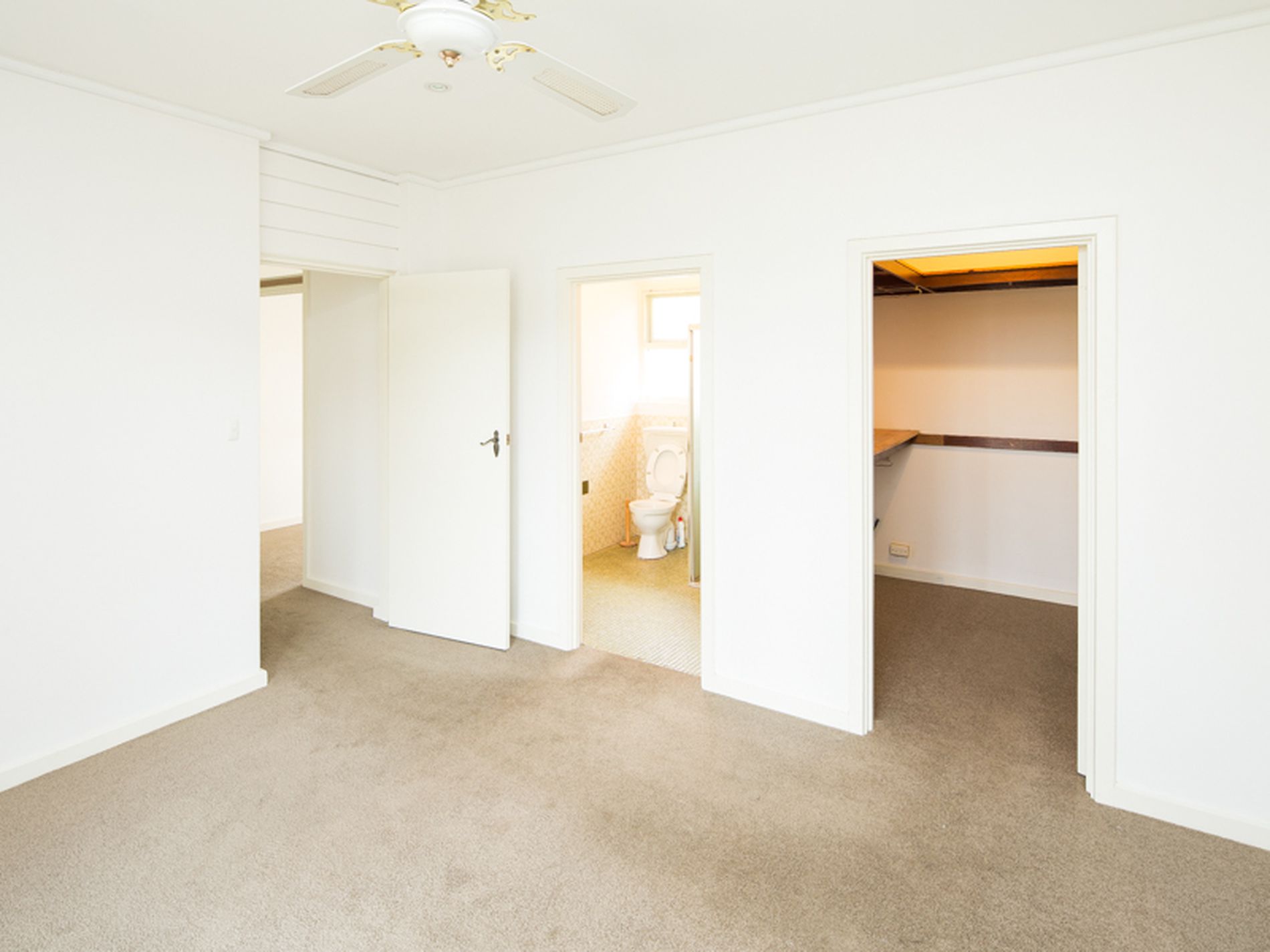 8 Offler Avenue, Bellevue Heights