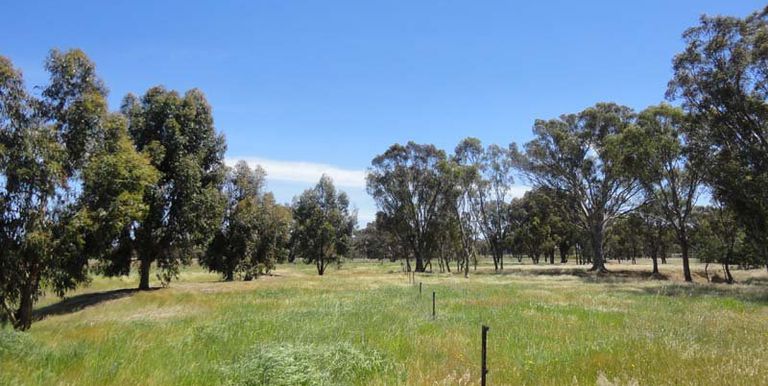 112 Jefferies Road Locksley, Avenel