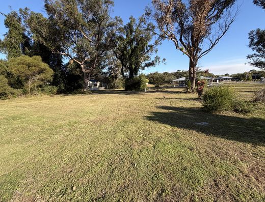 One Acre Corner Block with Massive Shed in the Heart of Poona image 10