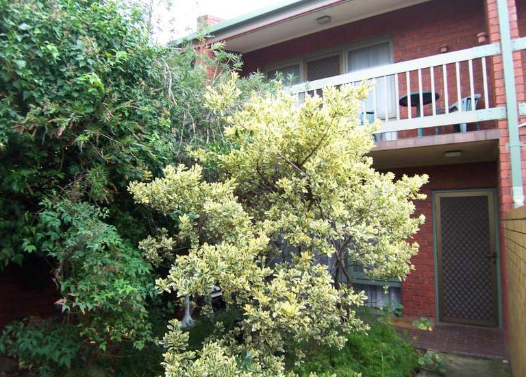 3 / 56 Jetty Road, Brighton