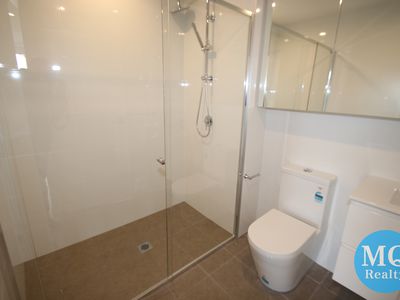 309 / 11 RAPHAEL STREET, Lidcombe