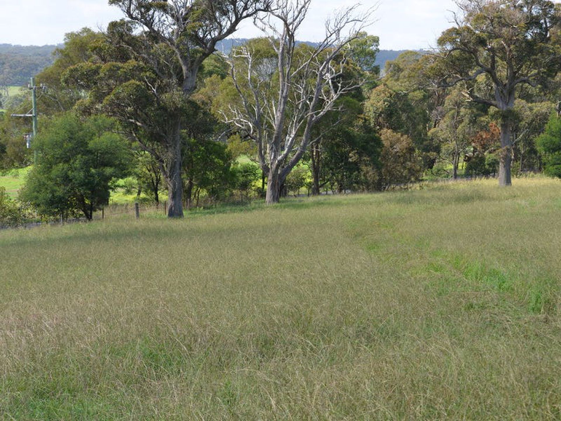 Lot 11, 291 Wombeyan Caves Road, Mittagong, Mittagong - Thumbnail 4