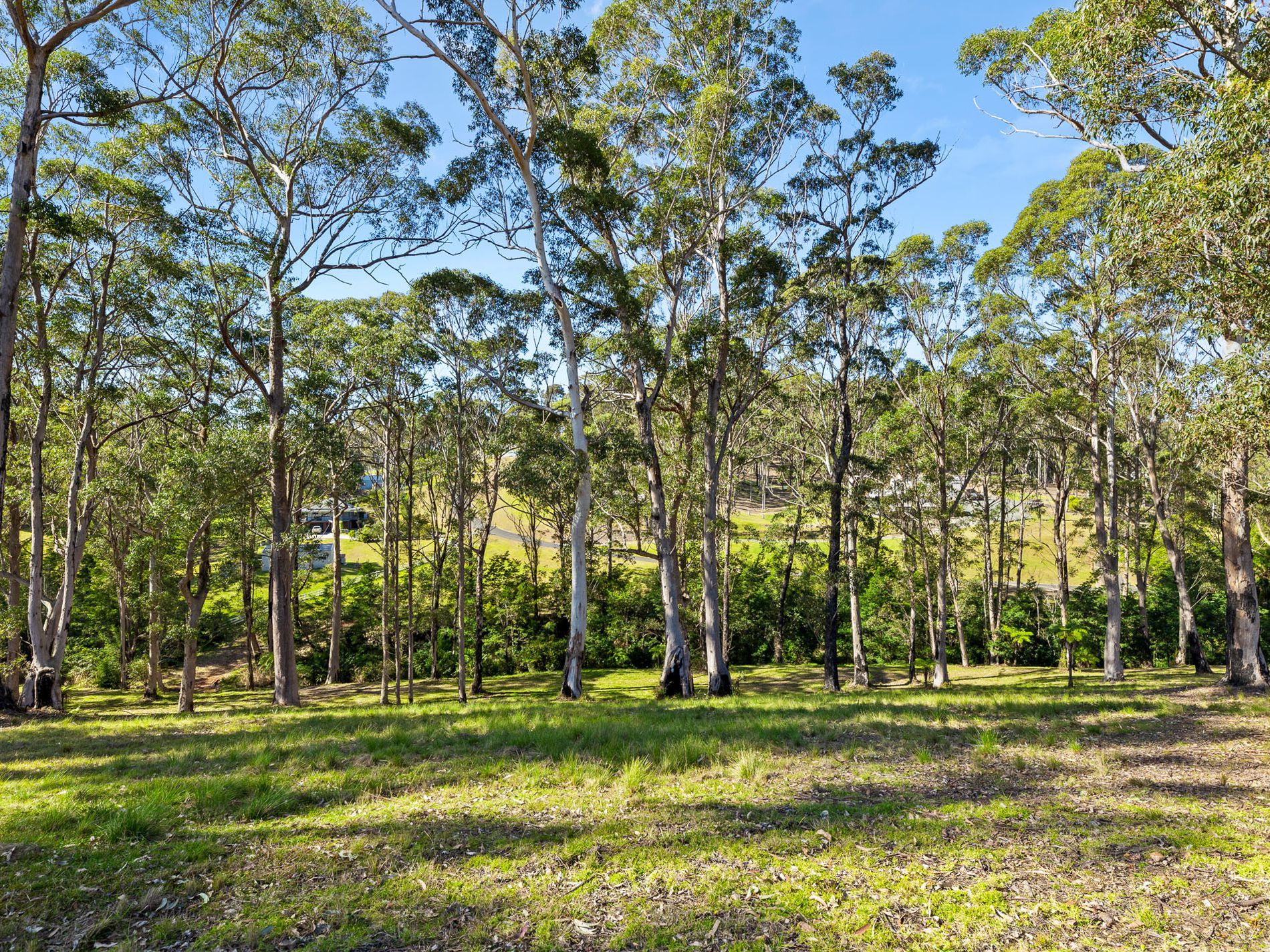 Lot 19, Worthy Drive, Malua Bay