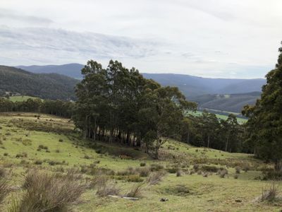 Lot 1, Lightwood Creek Road, Glen Huon