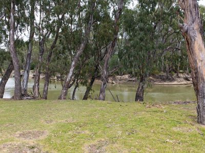 31 ARMSTRONG DRIVE, Barham