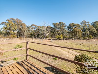 13 Deloraine Road, Emmaville