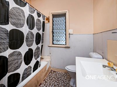 3 Japonica St, Inala