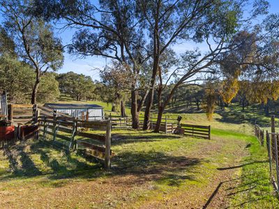 310 Dockerys Road, Tallarook