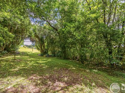 577 Humpty Back Road, Pearces Creek