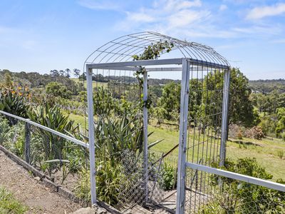 107 Lilyvale Place, Narooma