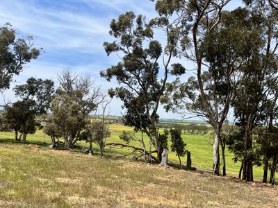 547 Bunmulling Road, Popanyinning