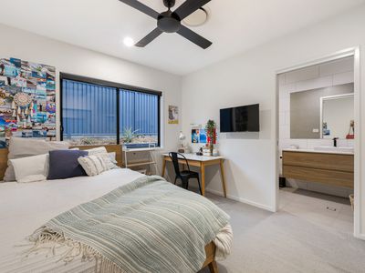 11 Staghorn Close, Palmview