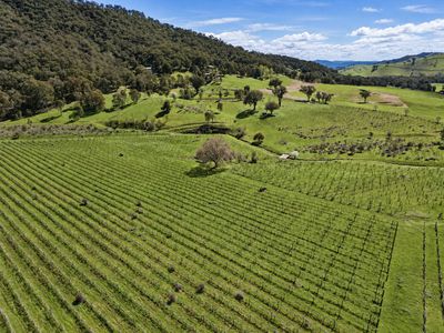 8792 Murray River Road, Walwa