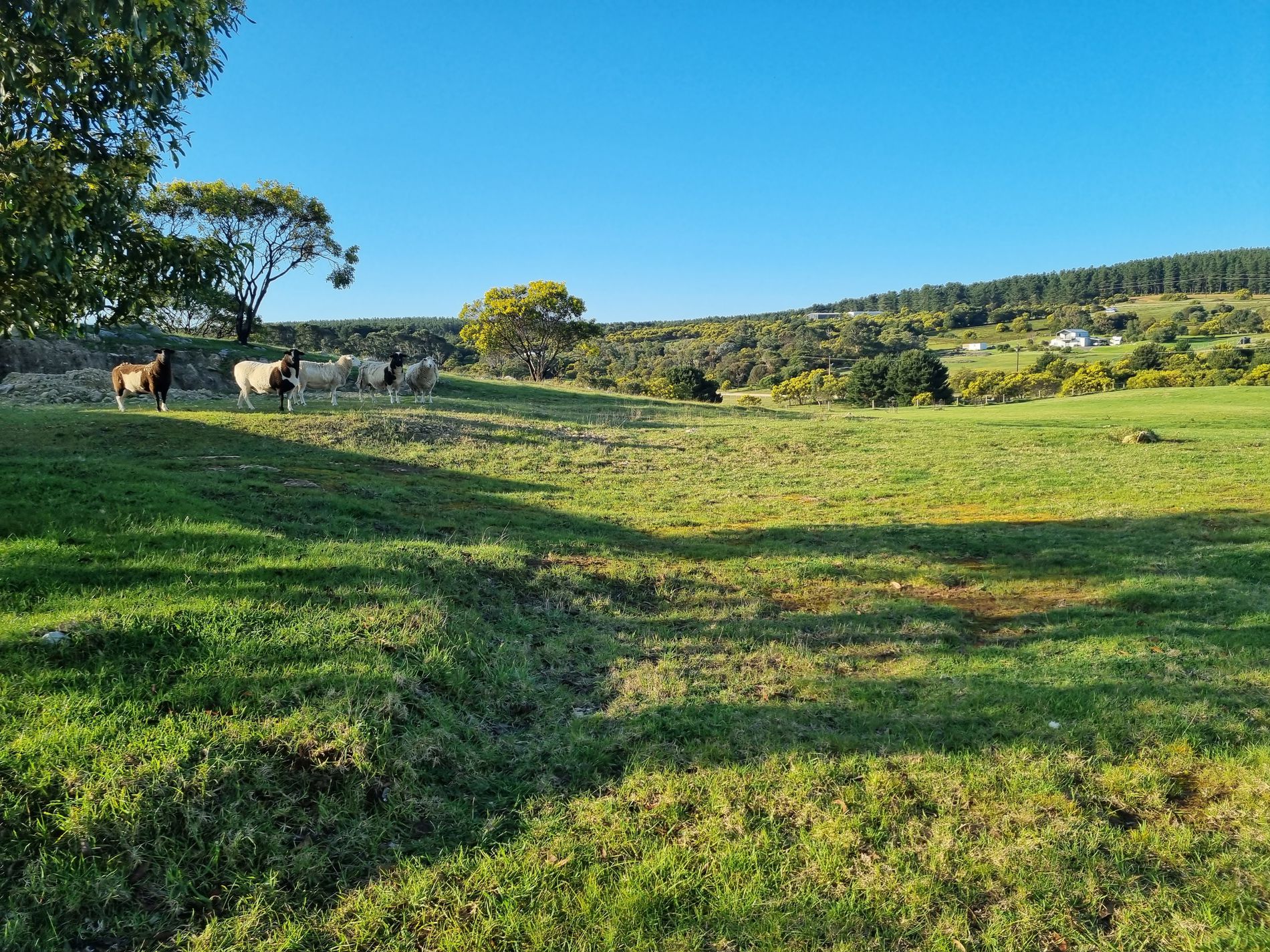 Lot 821, Thomas Road, Rocky Camp