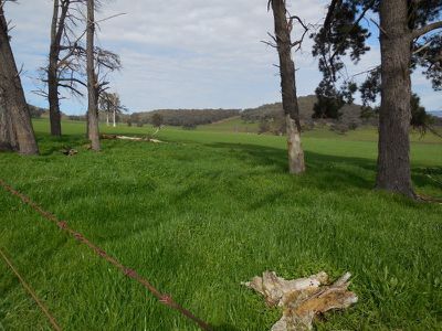 . Swampy Plains Creek Road, Khancoban
