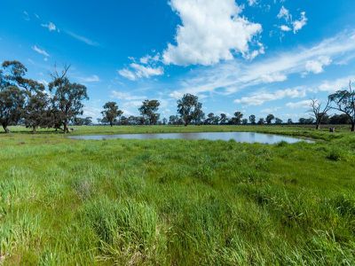 787 Howlong-Barnawartha Road, Barnawartha