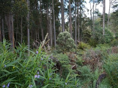 Lot 1 Kalonga Road, Nicholls Rivulet