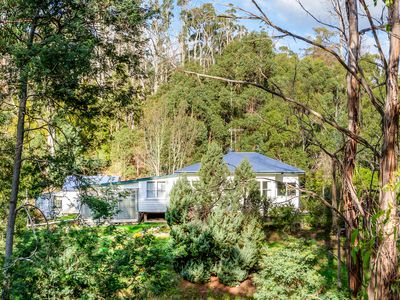 58 Clarks Road, Cradoc