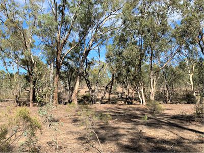 Lot 19J, Mt Camel-Graytown Road, Redcastle