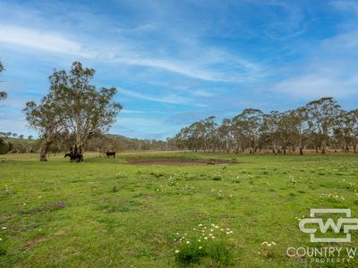 43 Sharmans Road, Glen Innes