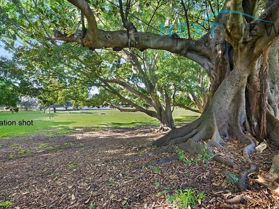 3 / 117 Albert Street, Islington