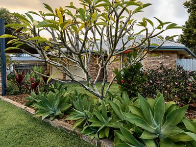 7 Molucca Place, Tingalpa