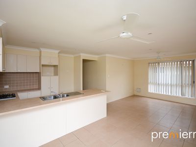 9 Shaun Street, Redbank Plains