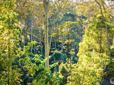 212 Ridge Road, Central Tilba