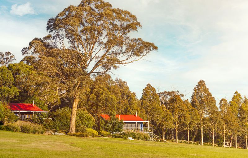97 School Lane, Tarrawarra, Tarrawarra - Thumbnail 5
