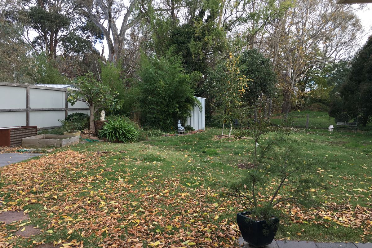 29 Rowe Street, Mansfield