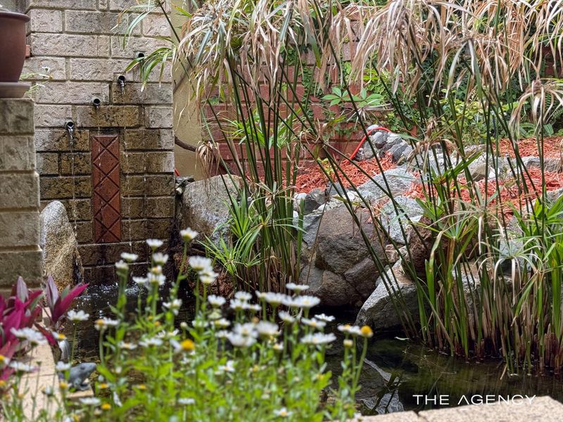 59 Curven Road, Hamilton Hill