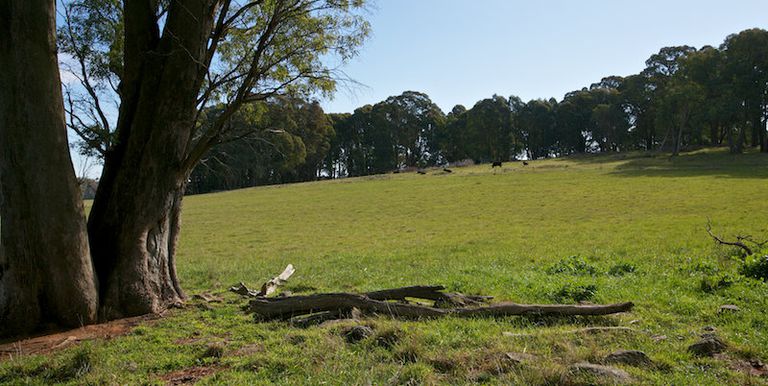 398 Bonnie Doon Road, Strathbogie