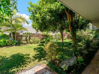 2 / 46 Poinciana Avenue, Tewantin