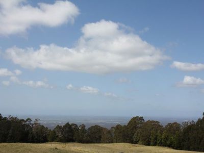 Lot 307 Lot 307 Carrington Road, Cambewarra