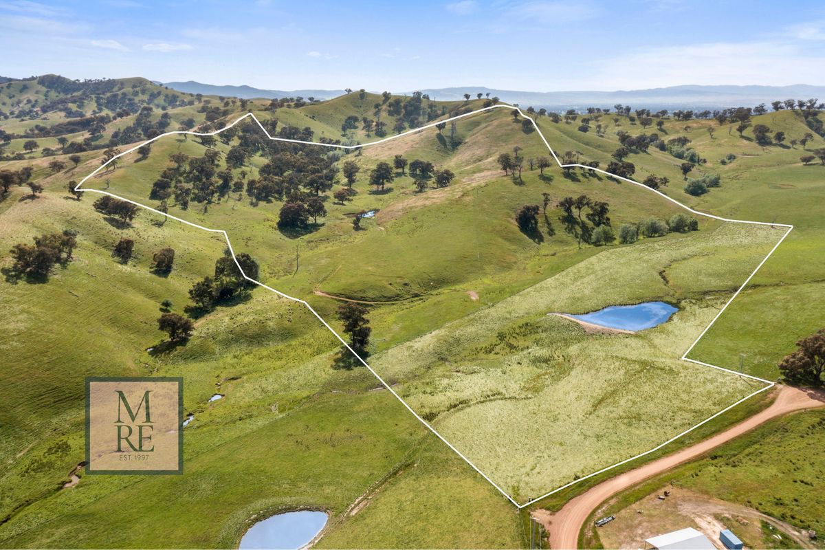 91 Eagles Lane, Bonnie Doon