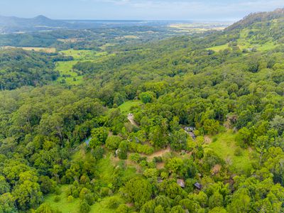 665 Left Bank Road, Mullumbimby Creek