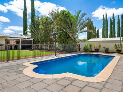 5 Vitali Crescent, Somerville