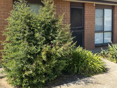 3 / 38 Wawunna Road, Horsham