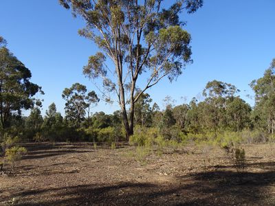 Crown Allotment 127 Nagambie Rushworth Road , Nagambie