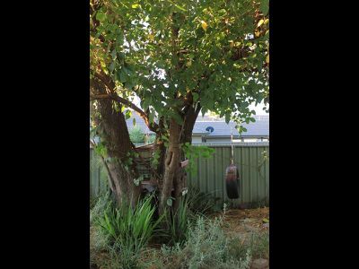 291 Darling Street, Dubbo
