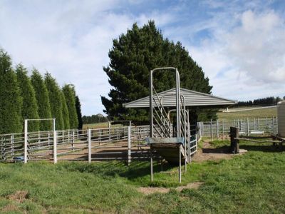 Meadow Flat