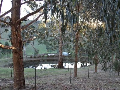 Lot 1 Woolshed Road, Bonnie Doon